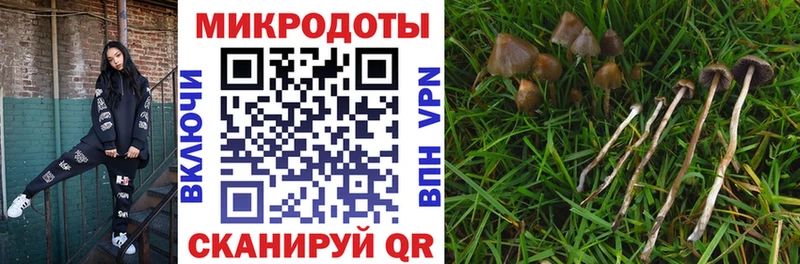 блэк спрут онион  Цивильск  Галлюциногенные грибы ЛСД 