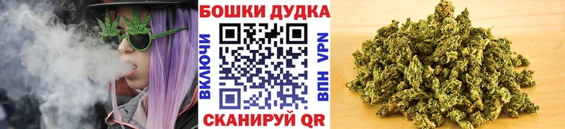 дарнет шоп  Цивильск  Шишки марихуана ГИДРОПОН 